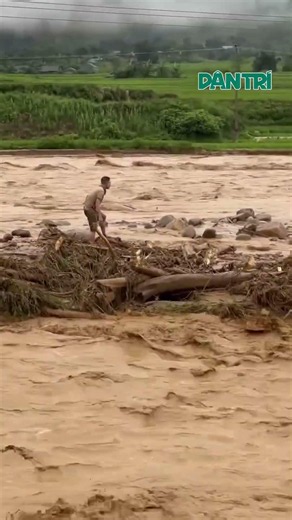 Commune police rescue 2 people trapped in Lai Chau floodwaters | #shorts