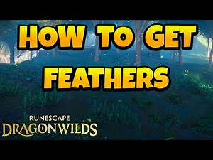 How to Get Feathers in Runescape Dragonwilds