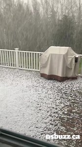 70K views · 643 reactions | Downpours, hail, thunder and lightning moving across the province. Gene Mills of Alma, Nova Scotia and Foxy Entertainment sent this video in of the hail that fell for a good 30 minutes in his area! | Nova Scotia Buzz | Facebook