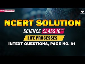 NCERT Solutions Life Processes Class 10 | Intext Questions Pg 81 | Science Biology Chapter 5