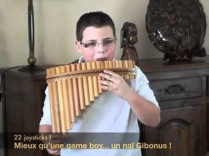 Flûte de Pan - Gibonus - Pierre-Louis