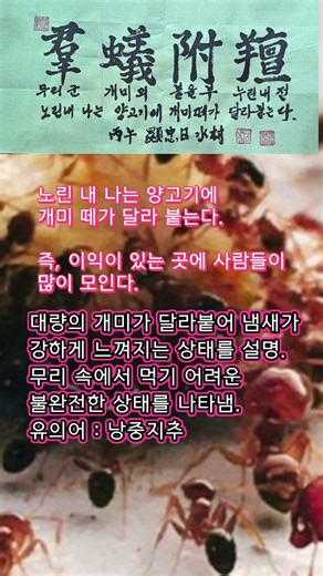 #고사성어 289 #군위부전 #사자성어 #서예 #한문 #한자