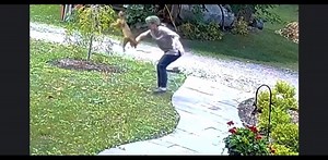 Woman Attacked By Fox