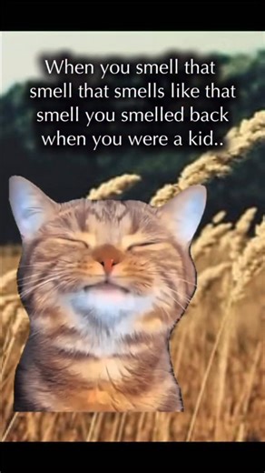 3.6K views · 345 reactions | I love that smell  | Renee Doucette | Facebook