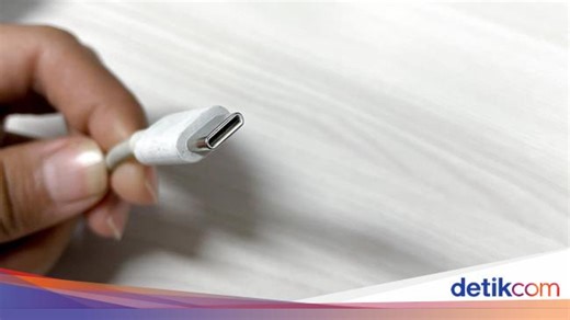 Charger Type C yang Multifungsi, Ini Kelebihan dan Kekurangannya
