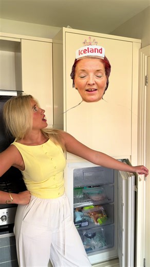 Same Day Grocery Delivery for Your Empty Freezer