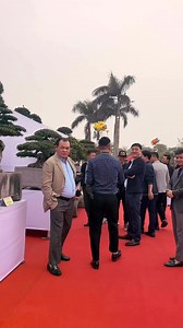 588K views · 2.7K reactions | Quảng Tùng| Chúc mừng anh Nguyễn Kim Nhật VS Hưng Bắc Hồng vụ giao dịch rất lớn tại ngày khai mạc TLSVC MÙA XUÂN NGHỆ THUẬT BONSAI - TRIỆU ĐIỀN #namlebonsai #bonsaivn #bonsai #bonsaitree #quangtungart #art #bonsaiindonesia #bonsaiworld #banyantree #penjing #reesl #caycanhvn | Quảng Tùng | Facebook