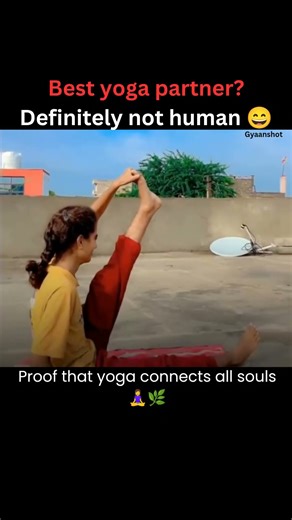 Best Yoga Partner Ever 🐒🧘‍♀️ | When Nature Joins the Practice