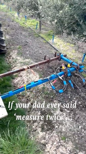 Measure twice, inoculate truffle orchard once (per year)... That's the formula