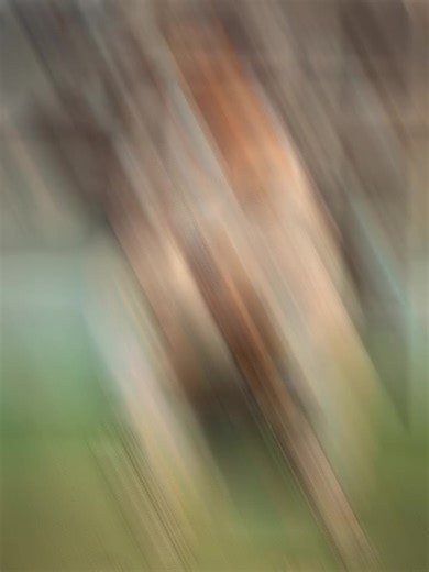 ‏#نفيشه_الجمرك❌👎🎭 #الضواحي🥷🔝 #اسماعليله_بلدنا #yyyyyyyyyyyyyyyyyy