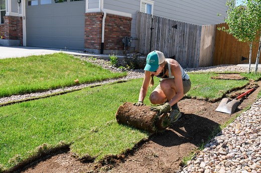 Lawn Replacement Program - Resource Central
