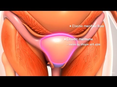 Virginity EXPLAINED: The Hidden Truth Science Reveals!