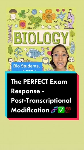 Dr. Sarah Rav | Work Smarter on TikTok