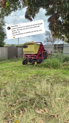 You can go from an overgrown yard to leaving best stripes this side of a reel mower #mowing