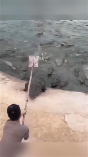 ২ জন ভাগ্যবান ব্যাক্তি। #shorts