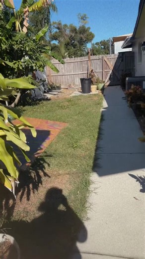 MLisa (@therealmlisa)’s videos with her garden - Amory Reel