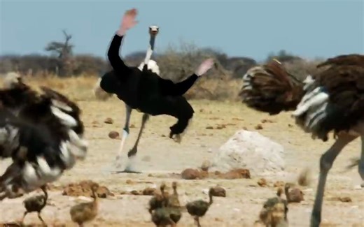 3dsMax如何合并对象教程