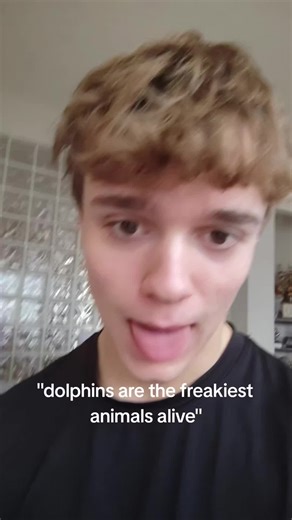 call me a dolphin#sillyguy