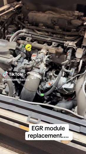 EGR Module Replacement and Manual Regeneration for Optimal Performance