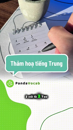 Ngày đầu và ngày 100 học tiếng Trung vui nhộn