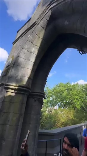 Bollywood Dance at Punjabi Wedding: A Celebration of Culture