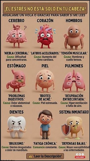 😱ASI AFECTA EL ESTRES