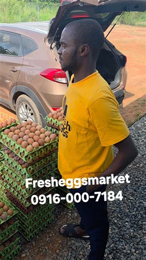 33K views · 2.3K reactions | Investing and starting an egg distribution company is one the biggest achievements of my family in this 2025. It's a beautiful business that gladens my heart. I pray that real soon, we are able to distribute 10,000 crates of eggs daily. #chiomaifeanyieze | Chioma Ifeanyi-Eze | Facebook