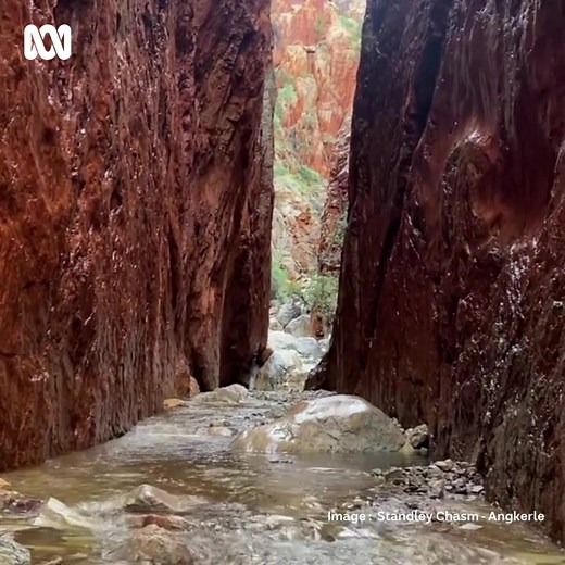 What a magical sight 😍 Standley Chasm (Angkerle Atwatye) one of Central Australia's most visited attractions is flowing after recent rains in the area. Seen by many when dry, the attraction takes on a whole new life after the rain. Thanks Standley Chasm - Angkerle for sharing. *Please note that Angkerle Atwatye is closed until further notice so repairs can be undertaken and the area cleaned of debris* | ABC Alice Springs