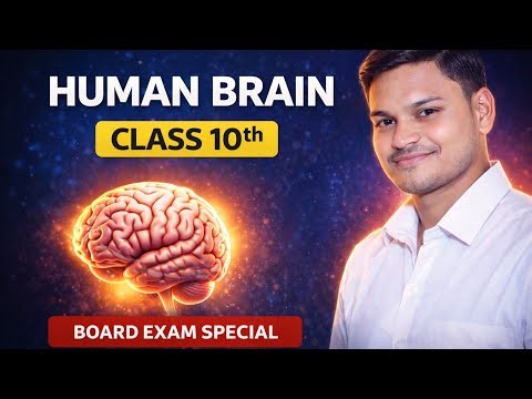 Class 10 Science | Human Brain Full Explanation | GRC Classes