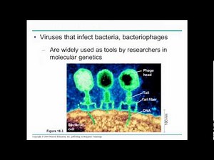 campbell chapter 16 part 1