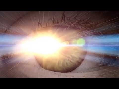 First Look Studios 2006