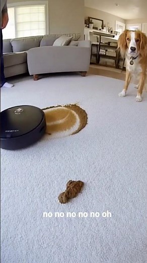 “Robot Vacuum FAIL Caught on Camera 💩🤖” #RobotVacuumFail #FunnyShorts