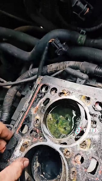 Problemas comunes en Renault Kangoo 1.5 dCi