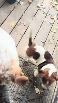 Yall finally get to see Rexx!