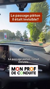 2.1K views · 1.5K reactions | Certaines personnes qui ont le permis ont oublié qu’ils étaient piétons, les passages piétons ne sont pas invisibles, il faut respecter le code de la route comme explique le moniteur Auto ecole #monprofdeconduite | Mon Prof de Conduite | Facebook