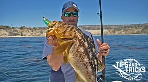 Calico Bass Essentials, Tricks & Tips with BD PRO Erik Landesfeind | BDOutdoors