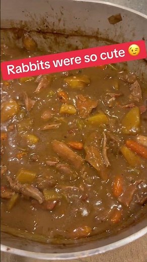 Wild Rabbit Stew Hits Different #rabbit #wildanimals #cooking #countrycooking #outdoors