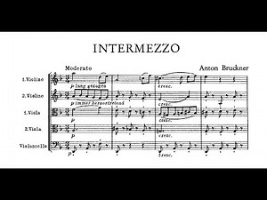 Anton Bruckner – Intermezzo in D minor