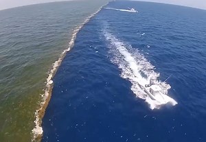 Gulf of Alaska: Two Oceans Meet, But Do Not Mix? | World Famous Things