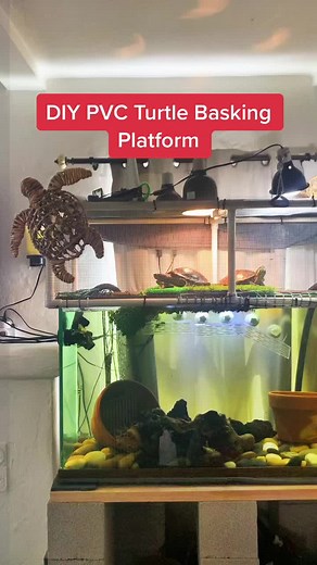 DIY Turtle Basking Platform Ideas