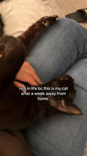 Heartwarming Reunion with My Beloved Cat