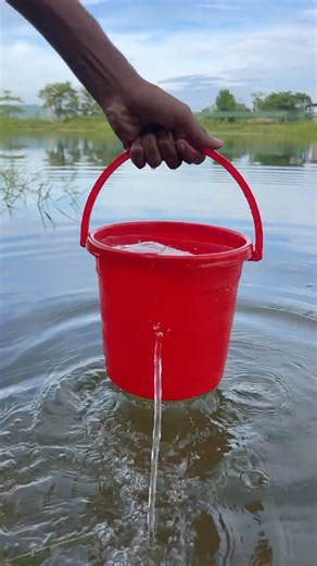 Survival Skills: I Fixed a Leaking Bucket in the Forest with a Simple DIY Repair Trick 🪣💧🌿