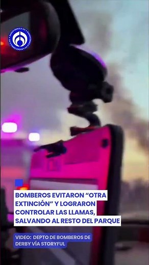 🦖🔥 Impacto jurásico: así ardió un dinosaurio de 30 metros