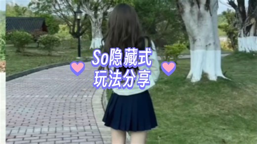 全网最详细介绍So的玩法分享