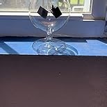 Clear Solar Power Crookes Radiometer Sun Light Energy Glass Windmill Spinning Vanes