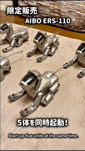 限定販売の初代AIBOを５体、同時起動してみた！ #aibo #アイボ