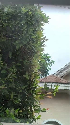 Bakuran, Philippines province, simple province life,