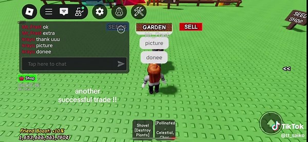 Successful Trades in Pet Owls and More