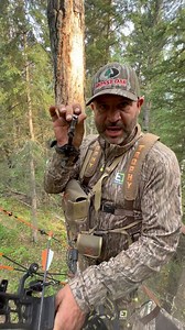 If you struggle with target panic, you’ve got to check out the “Verge” release from Scott Archery‼️🎯 // #TGR #archerypractice #bowhunting #tips | The Given Right - Hunting