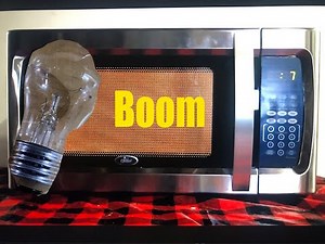 This is What Happens When you put a Light Bulb in the Microwave.